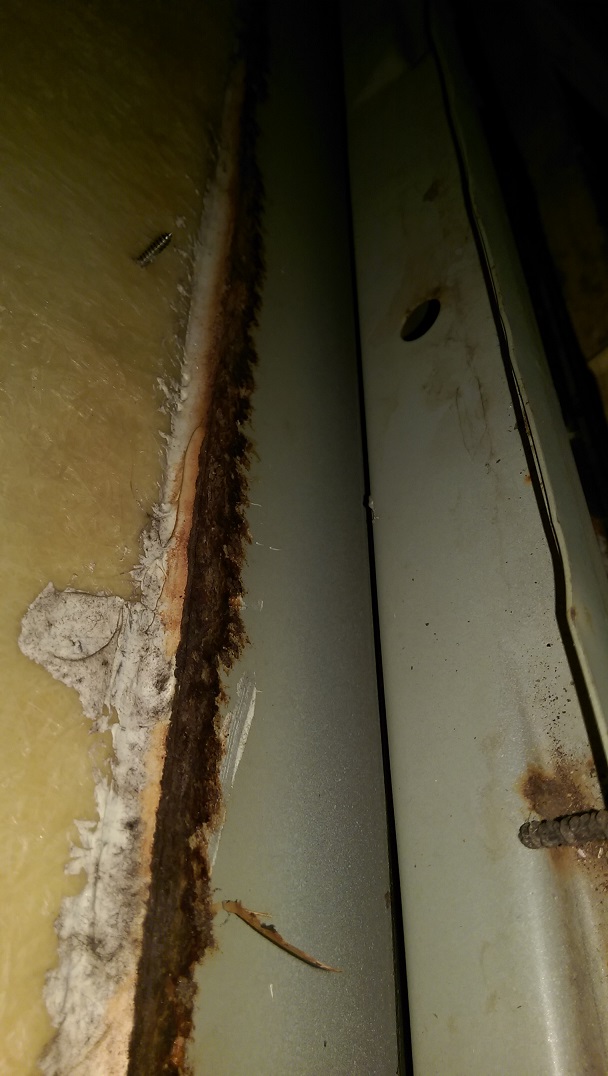IMAG0541.jpg