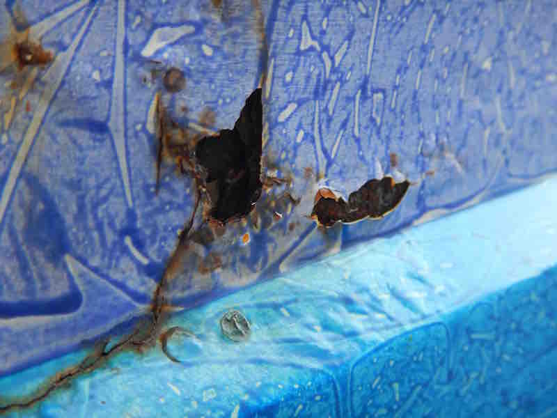 DSCN4225.jpg