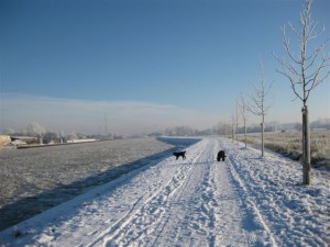 IMG_0172.JPG