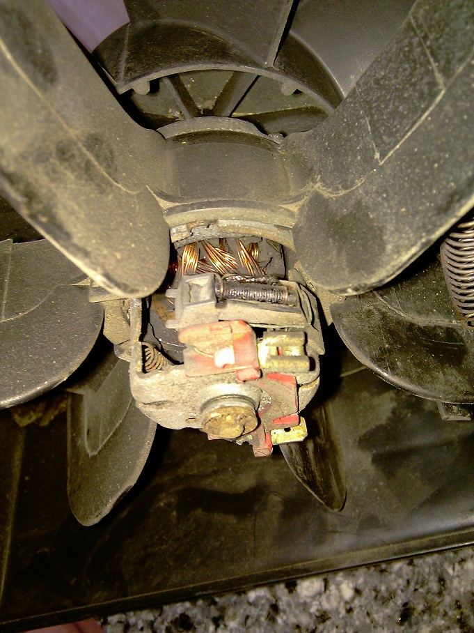 IMAG0146.jpg