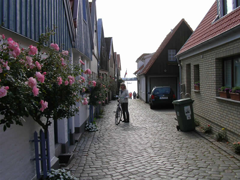 aaa 009_2.jpg