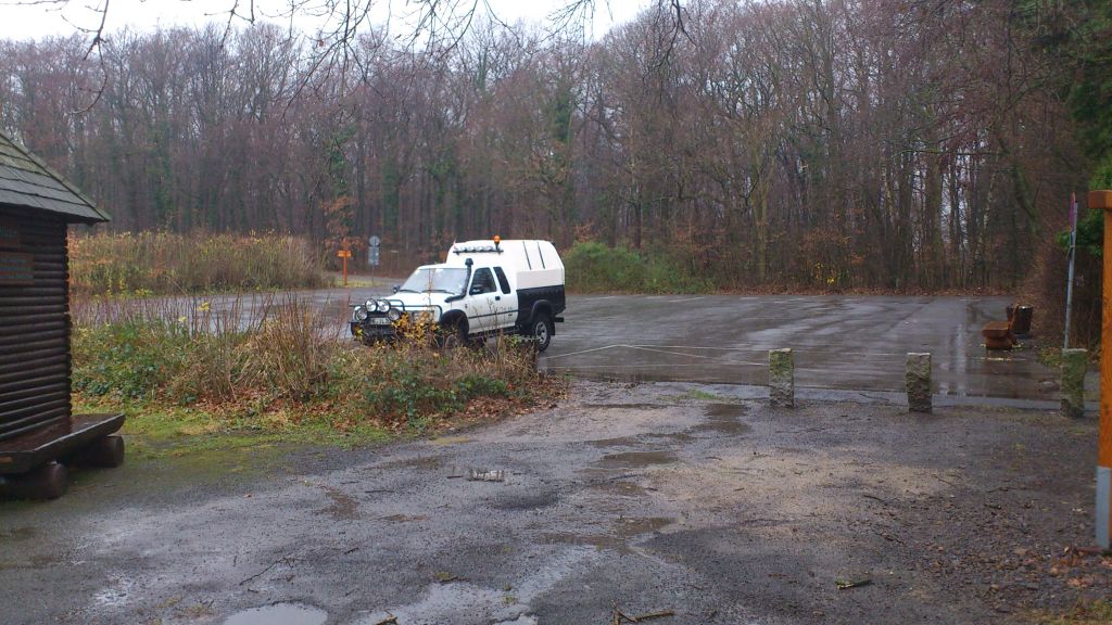DSC_0041.jpg