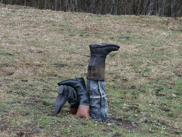 k-Bild 032.jpg