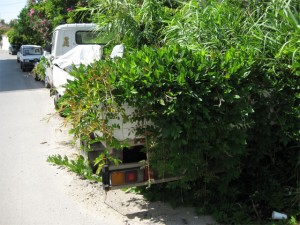 Griechenland-Umwelt-II.jpg (115.38 KiB) 1698-mal betrachtet Griechenland-Umwelt-II.jpg