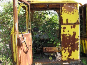 Griechenland-Umwelt-III.jpg (126.5 KiB) 1761-mal betrachtet Griechenland-Umwelt-III.jpg