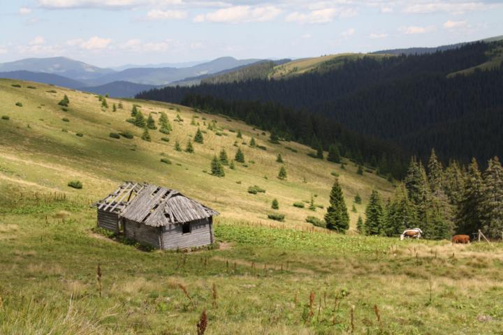 K640_IMG_4966.JPG