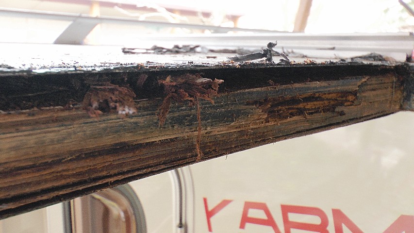 2014-03-28-09.JPG